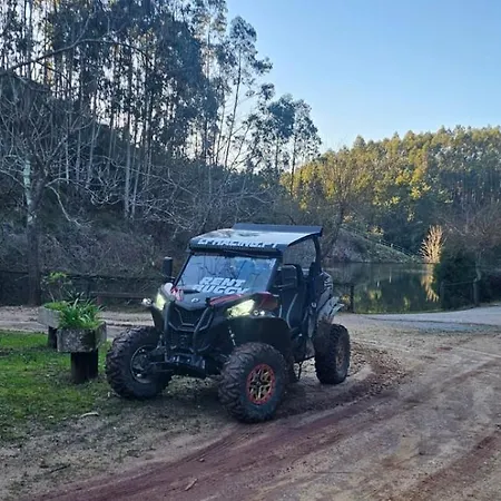 Lf Racing Rent Buggy Febres